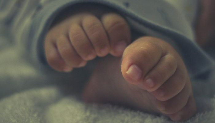 Portal Impacto Gospel