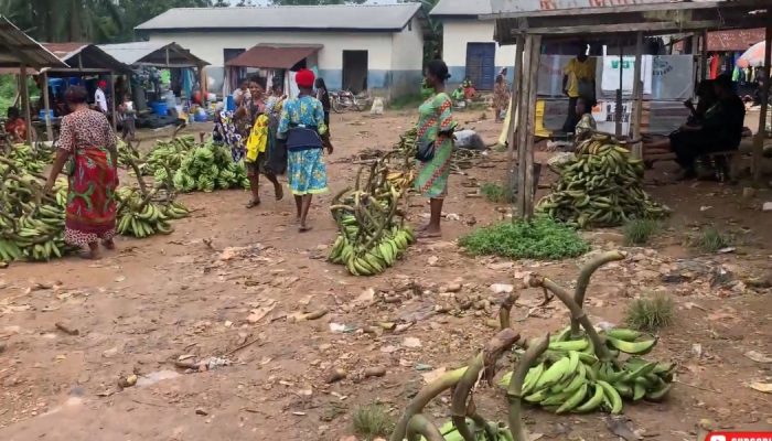 Mercado de rua na Nigéria. (Imagem ilustrativa/YouTube/Faith Afahaene).