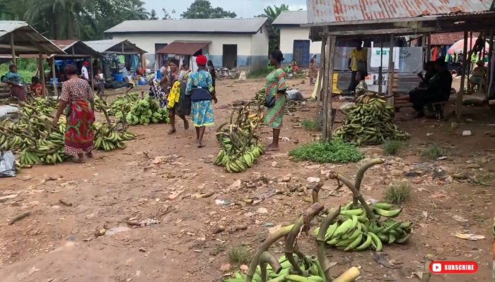 Portal Impacto Gospel