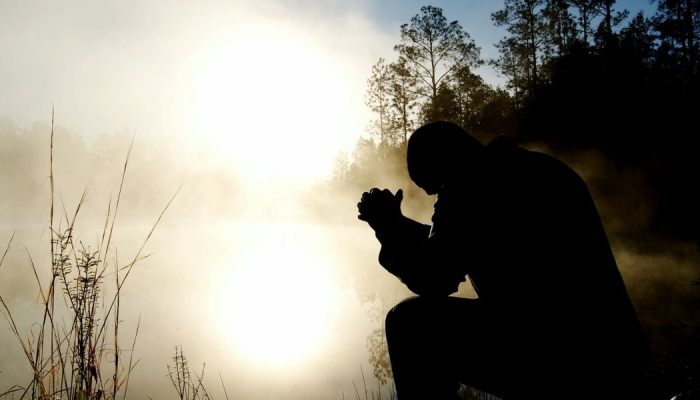 (Foto: Unsplash/Aaron Burden)