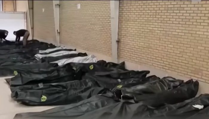 Portal Impacto Gospel