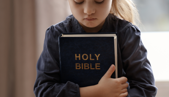 CC3B3pia20de20Travel20Photo20General20Linkedin20Banner2053-17