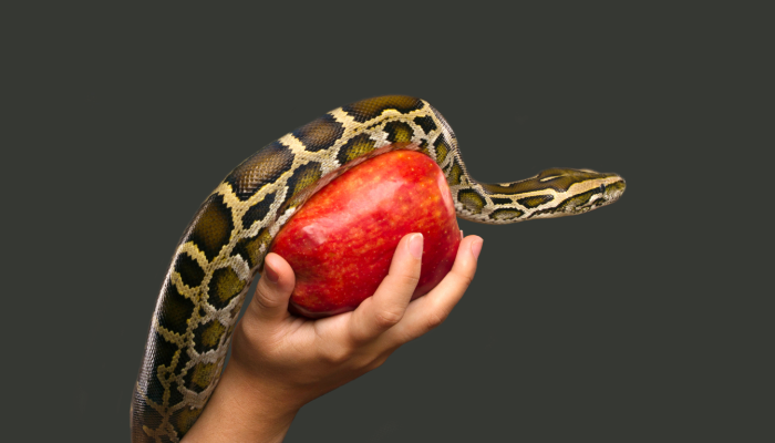 CC3B3pia20de20Travel20Photo20General20Linkedin20Banner2053-29