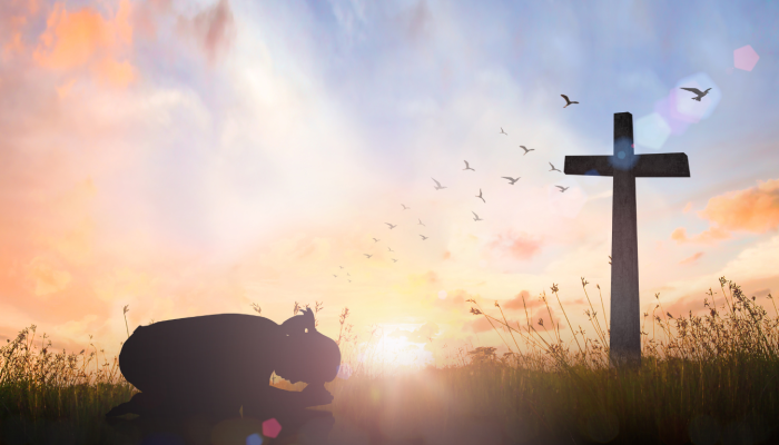 CC3B3pia20de20Travel20Photo20General20Linkedin20Banner2053-4